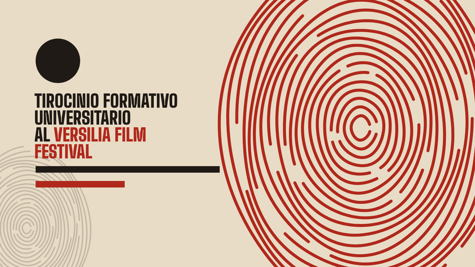 Tirocinio curriculare per CFU al Versilia Film Festival